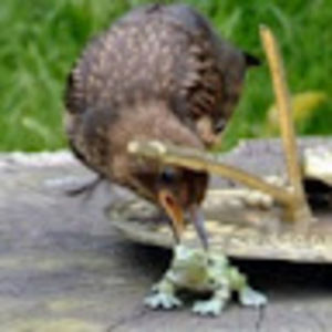 Meet your Posher, William